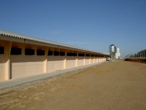 Bereid je stalventilatie voor op de hitte van de zomer