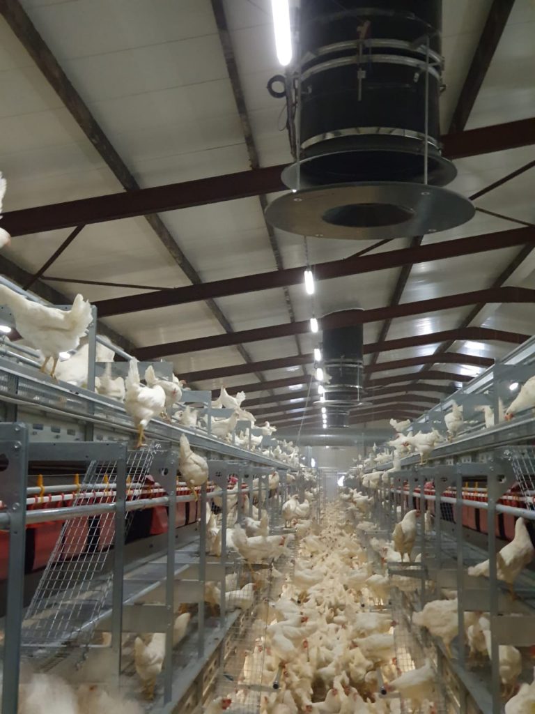 equal pressure ventilation