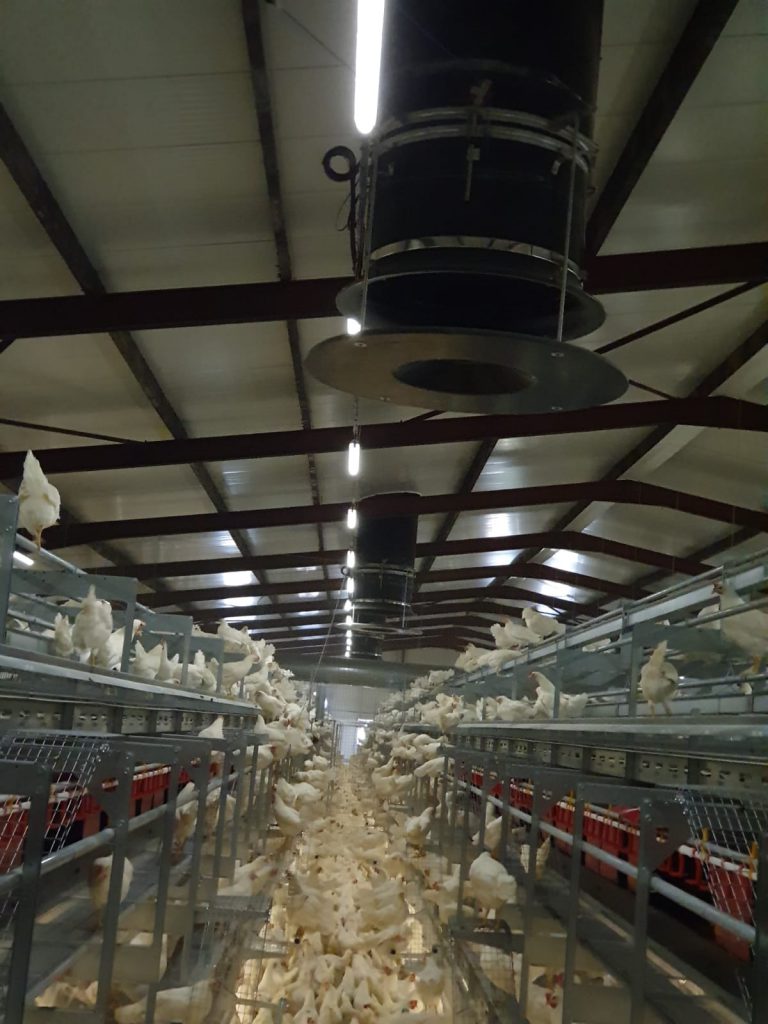 equal pressure ventilation