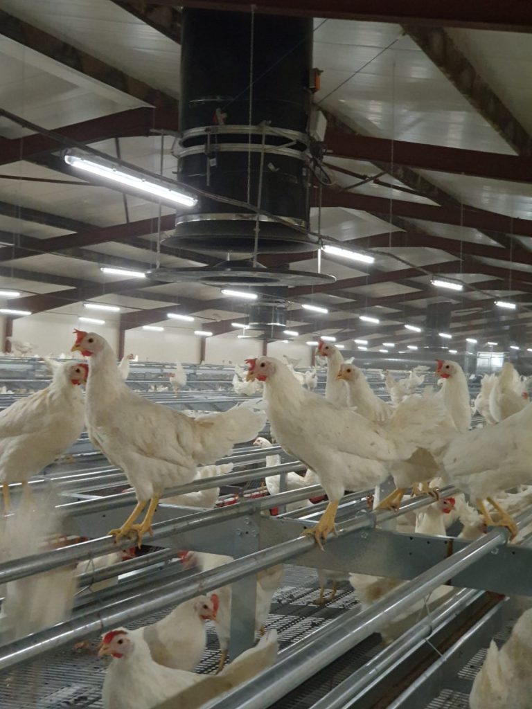 equal pressure ventilation