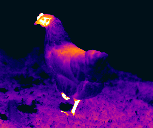 ventilatie concepten stallen
