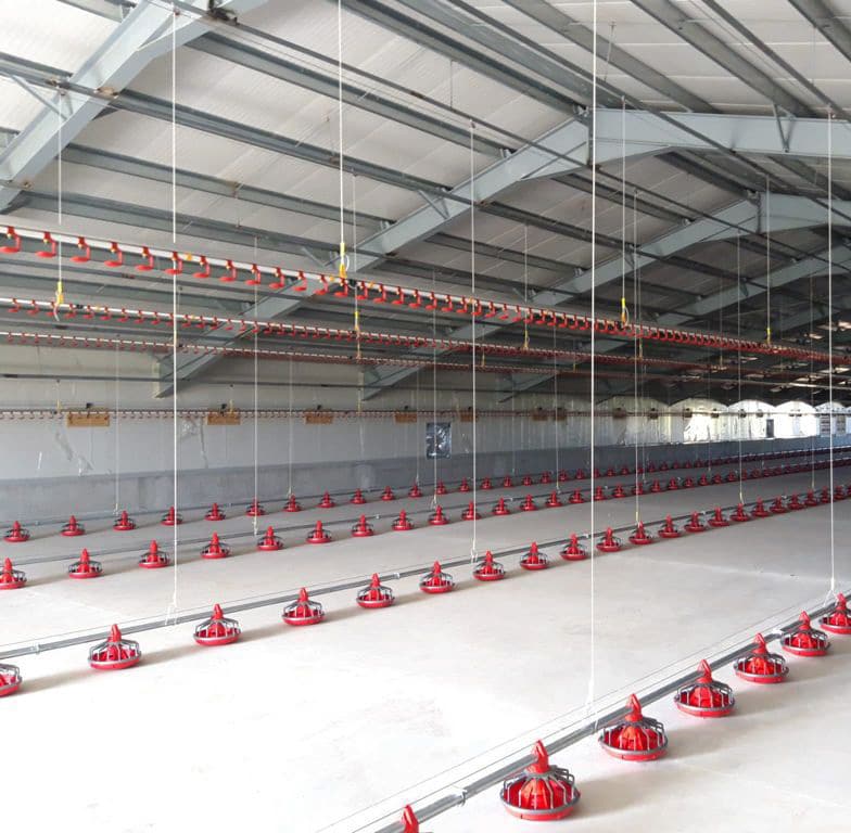ventilation concepts large poultry houses
